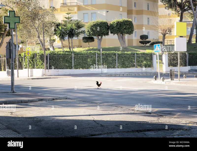Chicken road - Descubre el Misterio de la Ruta del Pollo en Casinos de España Online